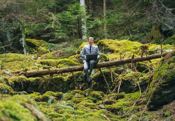 He relaxes on fallen tree and hosts meeting on laptop